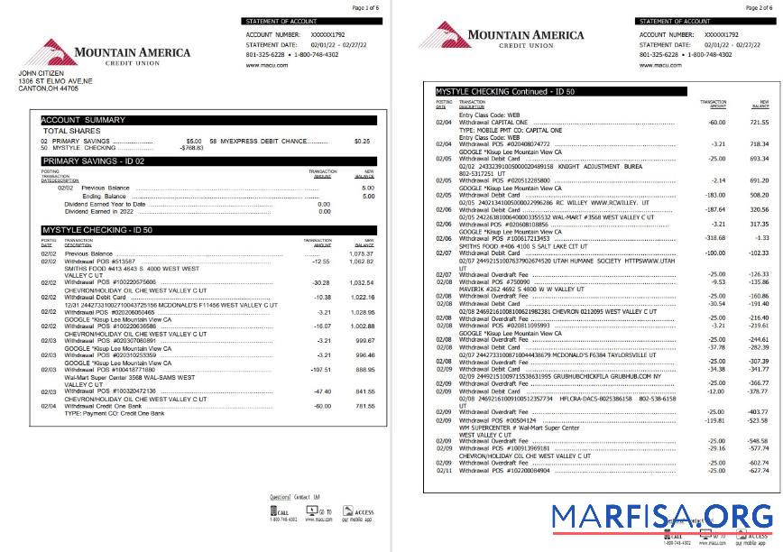 Downloadable USA Mountain America Credit Union statement word 6 pages example